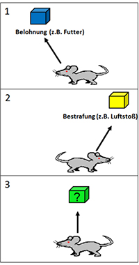 Grafik zur Belastungsbeurteilung aus Sicht der Tiere